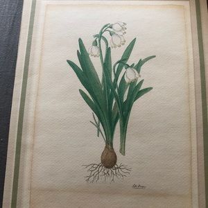 Peter Draper Botanicals